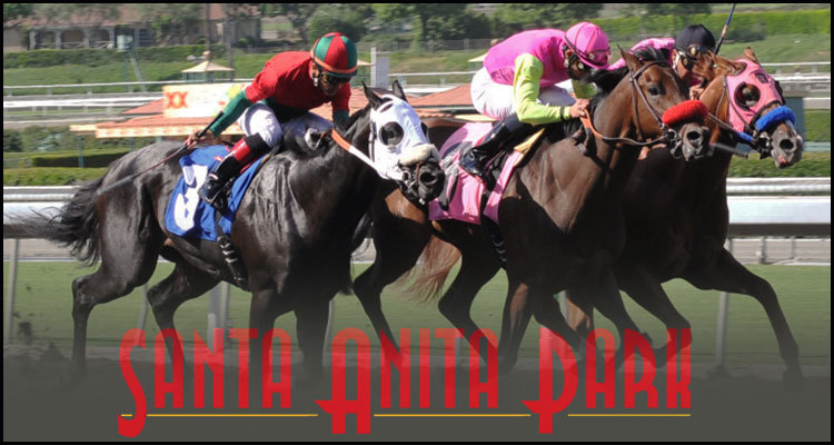 Animal rights activists renew Santa Anita Park horseracing protests