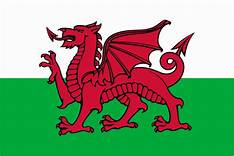 Call for help for Welsh gambling firms