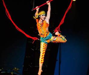Cirque du Soleil files for bankruptcy