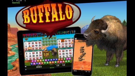 MGA Games’ Buffalo Bingo has been launched for international operators