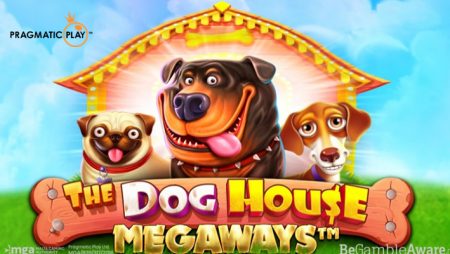 Pragmatic Play releases sequel to popular Dog House slot with Megaways mechanic boost