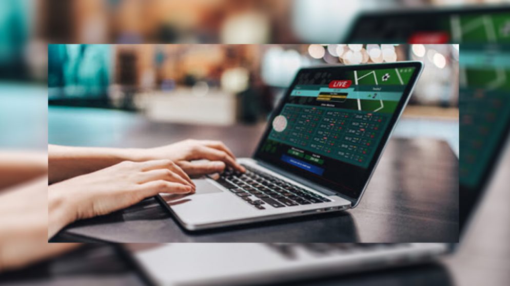 Solverde Group Secures Online Sports Betting Licence in Portugal