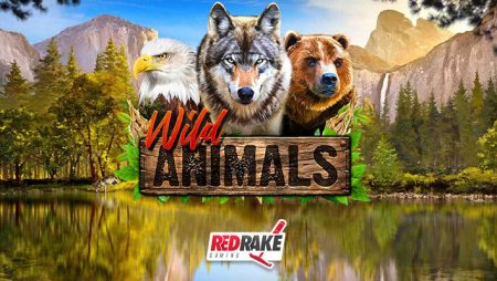 Become part of the pack in Red Rake Gaming’s new Wild Animals online slot game