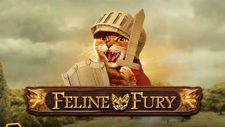 Feline Fury Slot Review (Play’n Go)