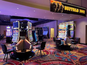 Buffalo Zone for Gold Strike Casino