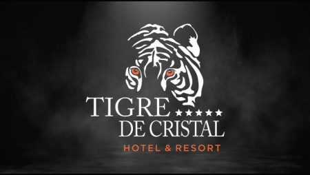 Summit Ascent Holdings Limited delays planned Tigre De Cristal expansion
