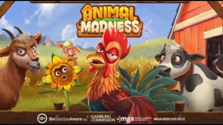 Play‘n GO returns to the farm for its new Animal Madness video slot