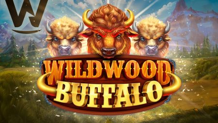 Wizard Games launches latest hit Wildwood Buffalo