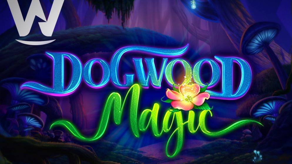 Wizard Games releases captivating new hit Dogwood Magic