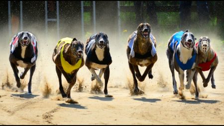Iowa Greyhound Park to close its doors for good from May 15