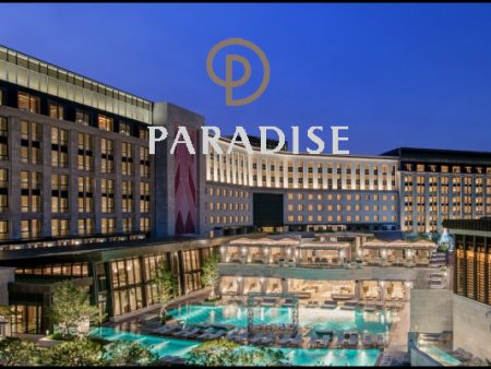 Paradise Company Limited experiences second-quarter revival