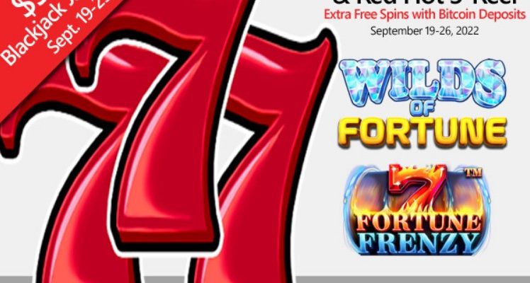 Everygame Poker offering spins with new online slot Wilds of Fortune; boosted spins for Bitcoin players