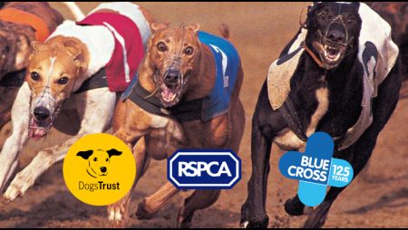 Trio of United Kingdom charities calling for an end to greyhound racing