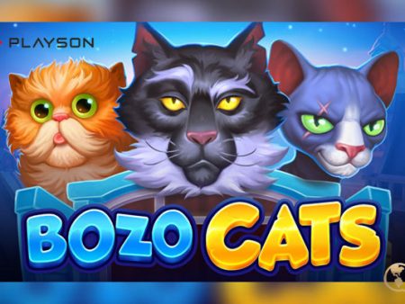 Hang Out with Furry Friends Playson’s Newest Slot Release Bozo Cats