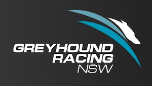 Entain's Ladbrokes secures NSW greyhound racing deal