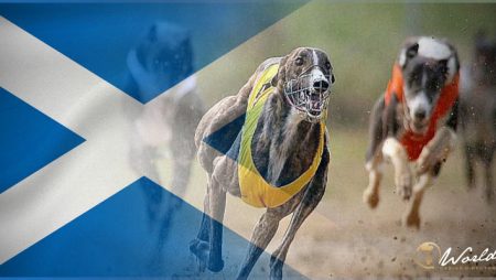 Scotland’s First Minister Promises To Review A Petition To End Greyhound Racing