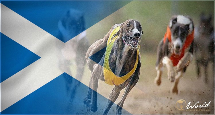 Scotland’s First Minister Promises To Review A Petition To End Greyhound Racing