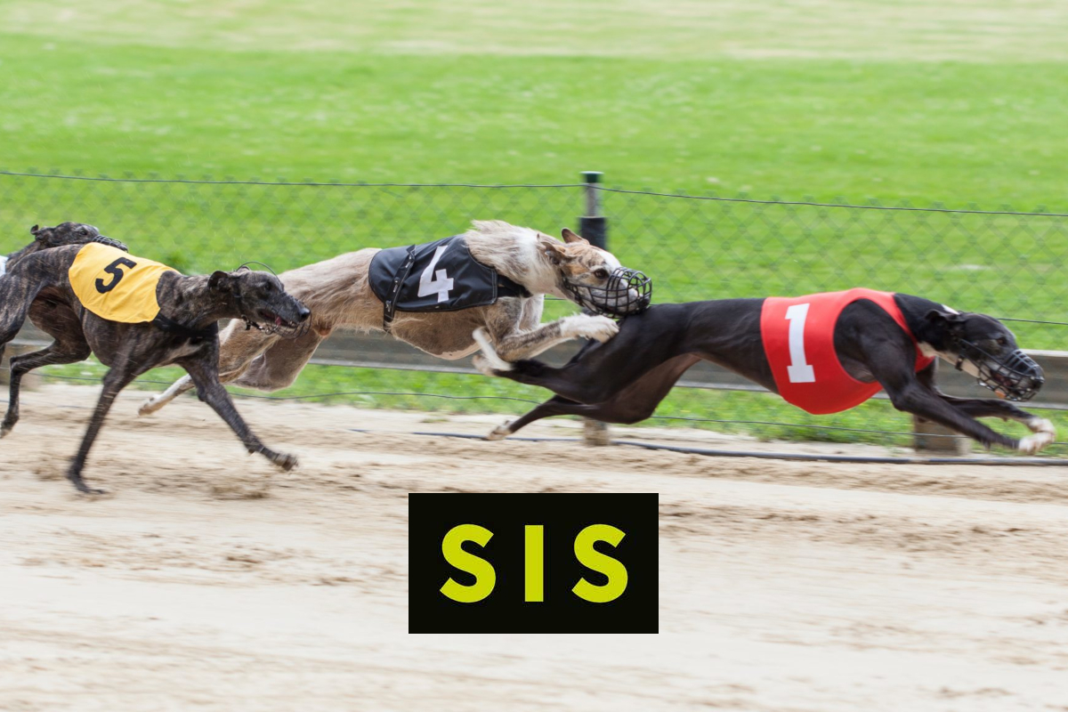 SIS to Deliver Dynamic New Greyhound Racing Schedule to Global Operators in 2024