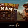 Pragmatic Play Releases Fourth Game in Popular Dog House Series, The Dog House – Dog or Alive